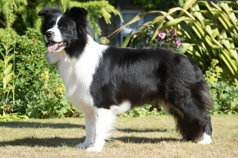 Tempt at 2 years