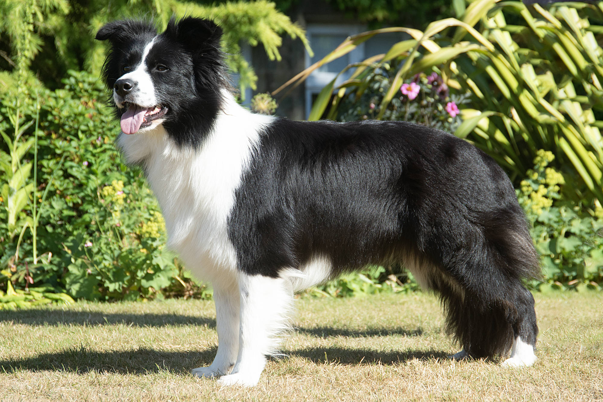 Tempt at 2 years